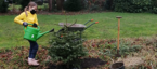 Emma gießt einen frisch gepflanzten Tannenbaum